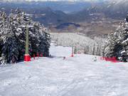 Pista intermedia Costabella