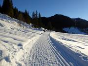 Piste da fondo Valepper Almen allo Spitzingsee