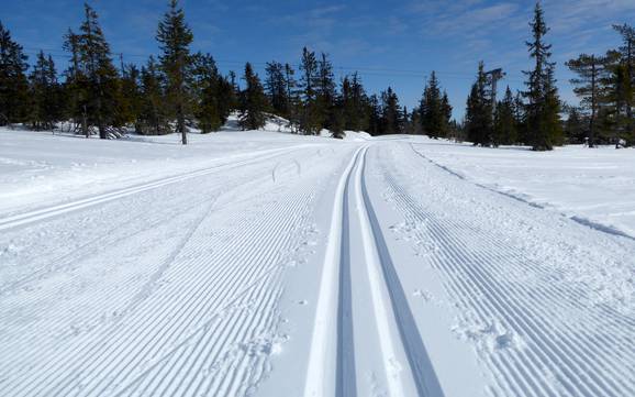 Sci di fondo Hedmark – Sci di fondo Trysil