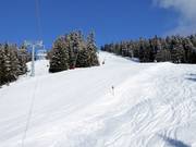 Discesa Peheim pista FIS omologata