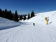 Pista Pioverna n. 25