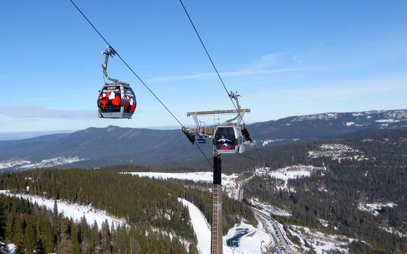 Impianti sciistici Zwieseler Winkel – Impianti di risalita Arber