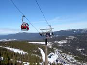 Arber-Gondelbahn - 6pers.| Telecabina (Monofune)