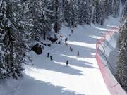 Corso di sci per bambini sull'Alpe Cermis