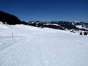 Facile discesa a valle Laucheren