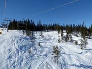 Aree freeride accanto alle piste