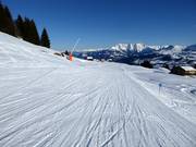 Pista blu da Crest Falla a Canischauna