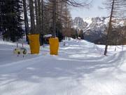 Suggerimento per i più piccoli 