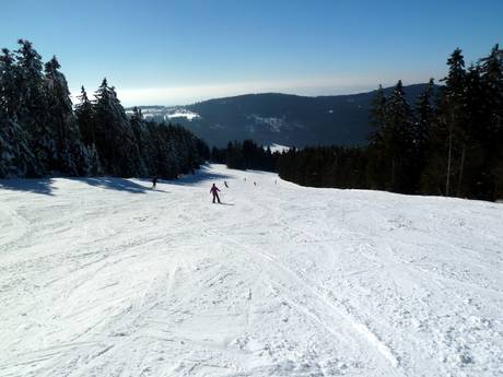 Offerta di piste St. Englmar – Offerta di piste Pröller Skidreieck (St. Englmar)