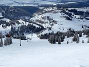 Pista Floyd's Fantasy