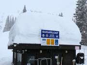 Abbondante neve naturale ad Alta