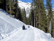 Suggerimento per i più piccoli  - Pista di slittino Ladurns