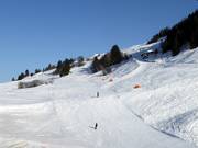 Discesa a valle n. 1c Meierhof