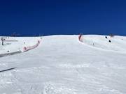 Pista difficile Direttissima Le Cune