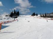 La pista facile di Witów