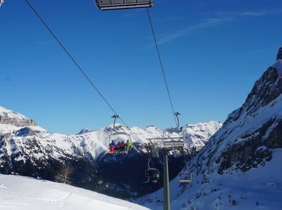 Roseal-Giumela - © Alex Ties