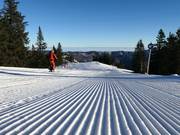 Ottima preparazione delle piste