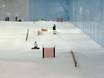 Snowparks Asia – Snowpark Ski Dubai - Mall of the Emirates