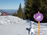 Suggerimento per i più piccoli  - Pista di slittino Furt-Wangs