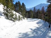 Discesa a valle verso Tschierv