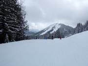 Pista molto facile al Red Mountain Village