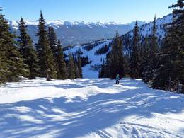 Marmot Basin - Jasper