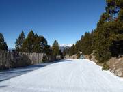 Facile pista di collegamento