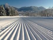 Pista appena preparata al Jaudenhang