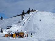Laubkogel - Skilift a piattello