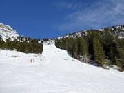 Pista difficile Brunnental