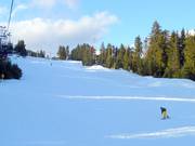 Ampia e facile: The Cut