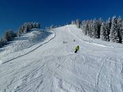 Discesa presso la Gulmabahn