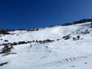 Pista moguls Central Spur