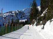 Pista Waldalm-Heimalm