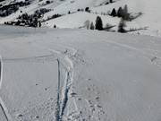 Zona di neve fresca presso la discesa principale allo Stübenwasenlift