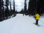 Le piste di collegamento uniscono i diversi impianti di risalita a Big White