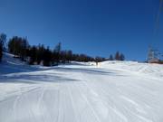 Pista facile n. 21 Olympia Pocol