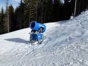 Cannone da neve nell’area sciistica Ravna Planina