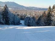 Discesa destra attraverso il varco nel bosco