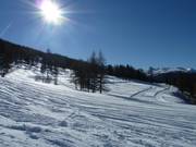 Pista da fondo d'altura appena battuta