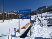 Little Ripper Carpet - Tapis roulant/Tappeto Magico