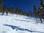 Pista Buckelpiste HLH