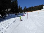 Teddy-Seillift Kinder-Lachtal - Manovia/Babylift a fune bassa