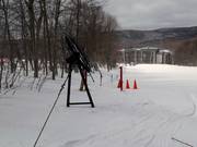 Mighty Mite - Manovia/Babylift a fune bassa