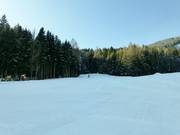 Parte superiore della pista blu