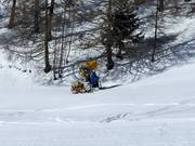 Cannone da neve a bordo pista