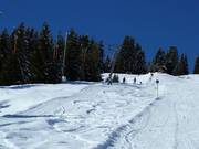 Hinterwieslift - Skilift con T-bar/ancora