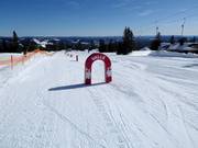 Suggerimento per i più piccoli 