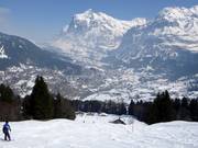 Vista su Grindelwald