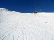 Il freeride è possibile quasi ovunque.